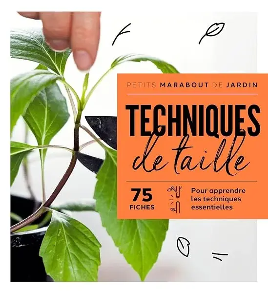 Couverture : Techniques de taille
