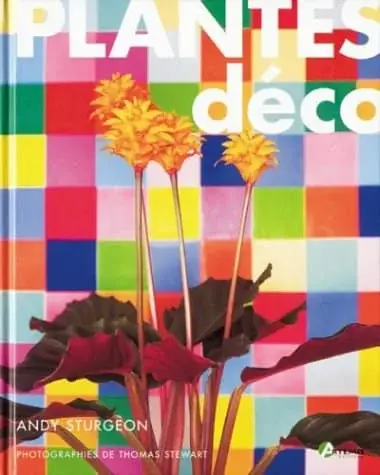 Couverture : Plantes déco