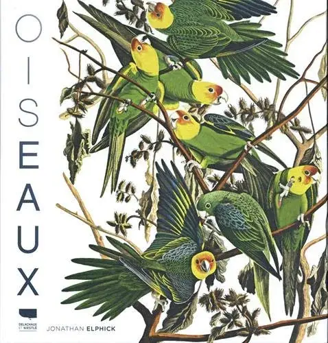 Couverture : Oiseaux