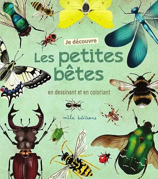 Couverture : Je découvre les petites bêtes en dessinant et en coloriant