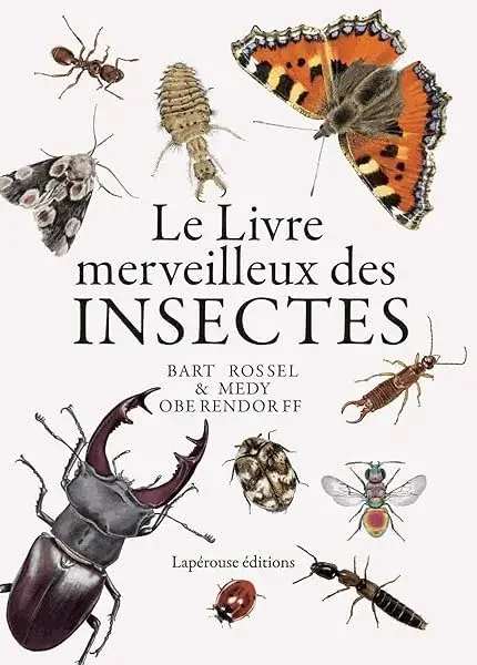 Couverture : Le livre merveilleux des insectes