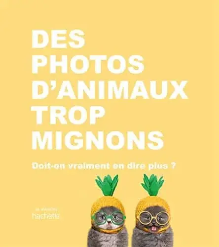 Couverture : Des photos d'animaux trop mignons: Doit-on vraiment en dire plus ?