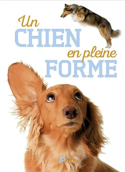 Couverture : Un chien en pleine forme