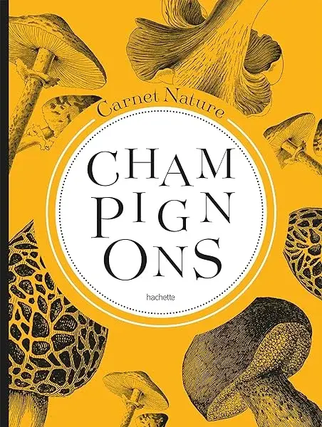 Couverture : Mon carnet nature : Champignons