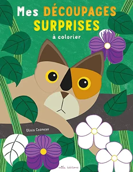 Couverture : Mes découpages surprises à colorier