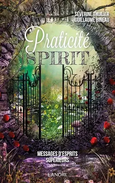 Couverture : Praticité spirit: Messages d'esprits supérieurs
