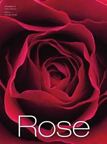 Couverture : Roses
