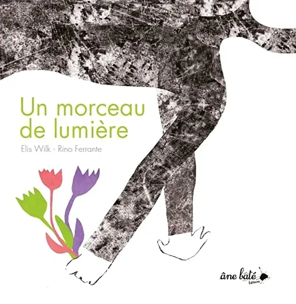 Couverture : Un Morceau de Lumiere