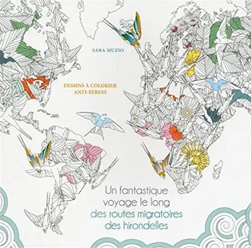 Couverture : Un fantastique voyage le long des routes migratoires des hirondelles