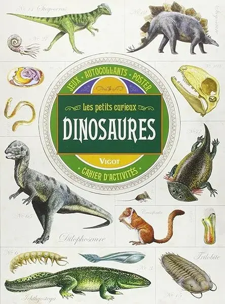 Couverture : Dinosaures: Cahier d'activités