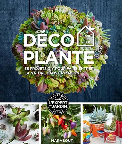Couverture : Déco Plante: 35 projets DIY pour faire entrer la nature dans la maison