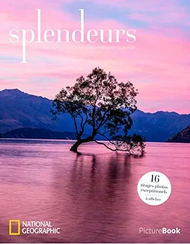 Couverture : Picturebook splendeurs