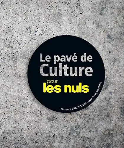 Couverture : Le Pavé de culture pour les Nuls