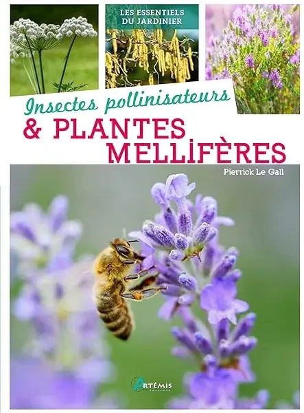 Couverture : Insectes pollinisateurs et plantes mellifères