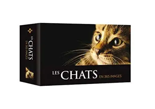 Couverture : Les chats en 365 images 2019