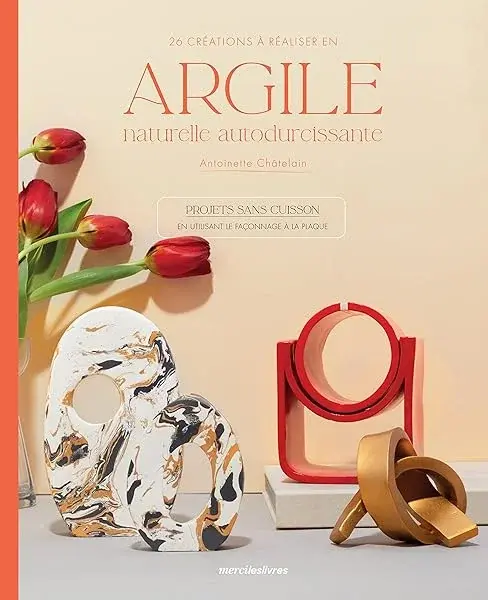 Couverture : 26 créations à réaliser en argile naturelle autodurcissante: Projets sans cuisson en utilisant le façonnage à la plaque