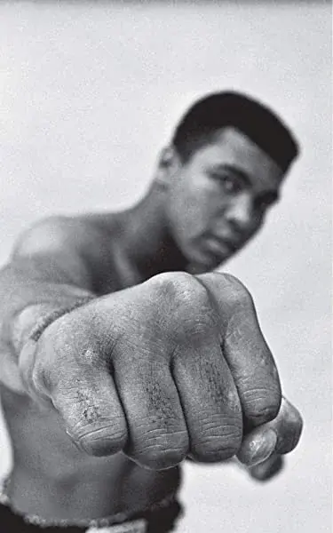 Couverture : Ali: Une vie