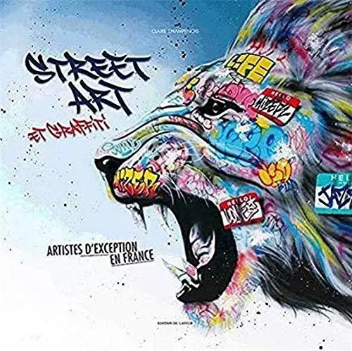 Couverture : Street art et graffiti: Artistes d'exception en France