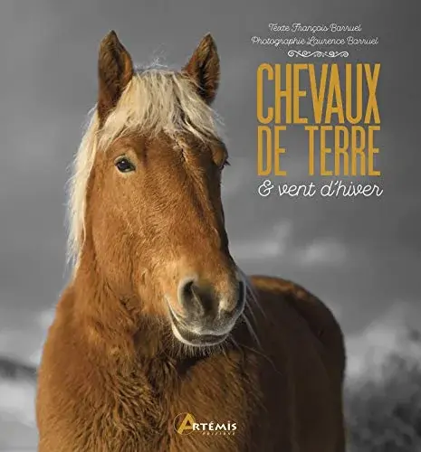Couverture : Chevaux de terre & vent d'hiver