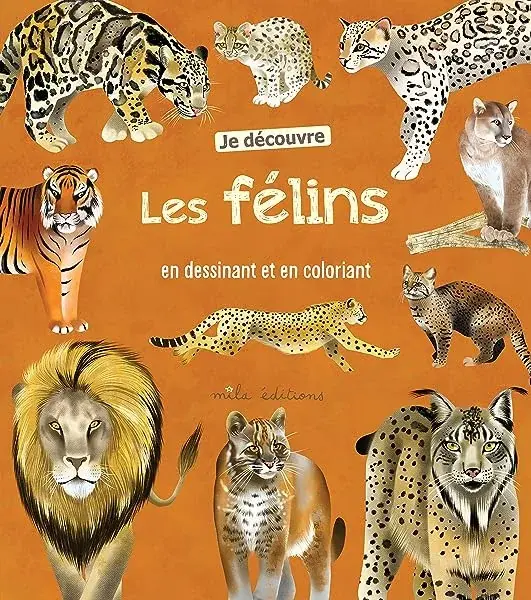 Couverture : Je découvre les félins en dessinant et en coloriant