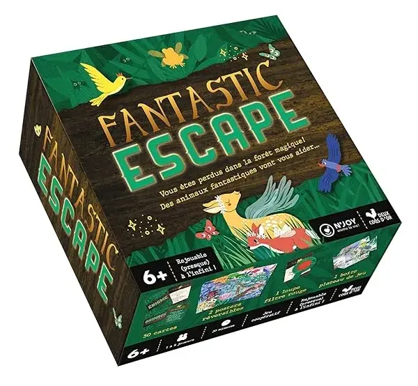 Couverture : Fantastic Escape: boîte avec cartes et accessoires