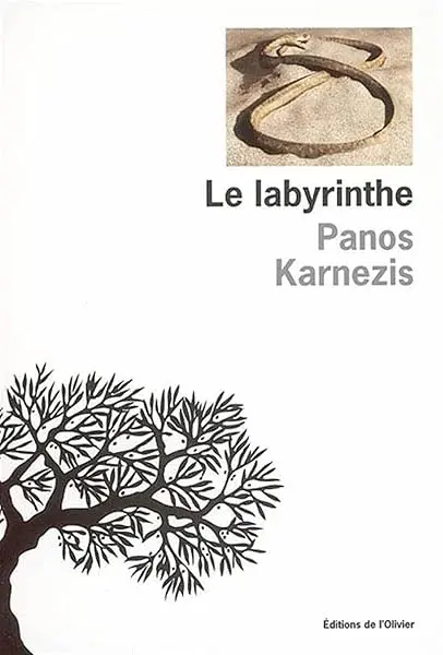 Couverture : Faites exploser vos couleurs pour être pleinement vous-même et vivre une vie passionnante
