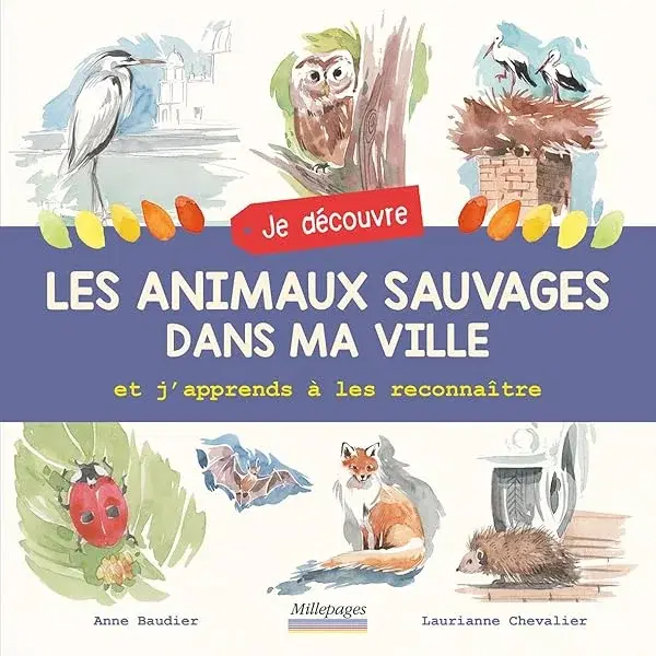 Couverture : Je découvre les animaux sauvages dans ma ville et j'apprends à les reconnaître