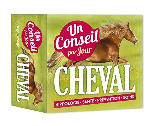 Couverture : Un Conseil Cheval par jour 2019