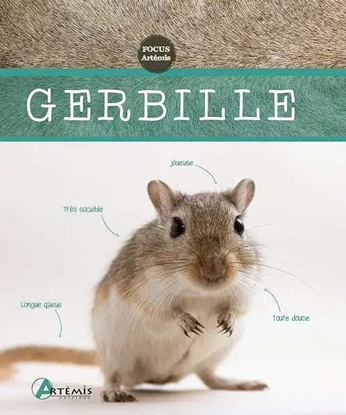 Couverture : Gerbille