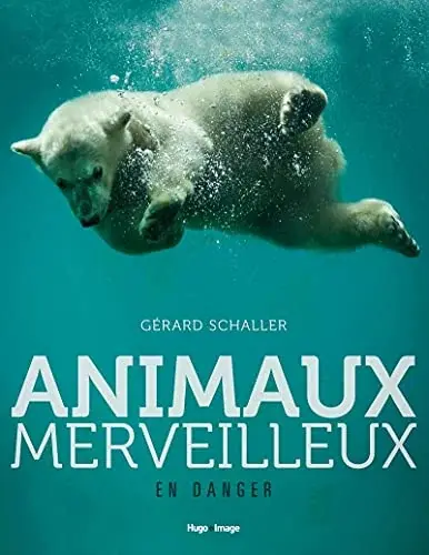 Couverture : Animaux merveilleux en danger