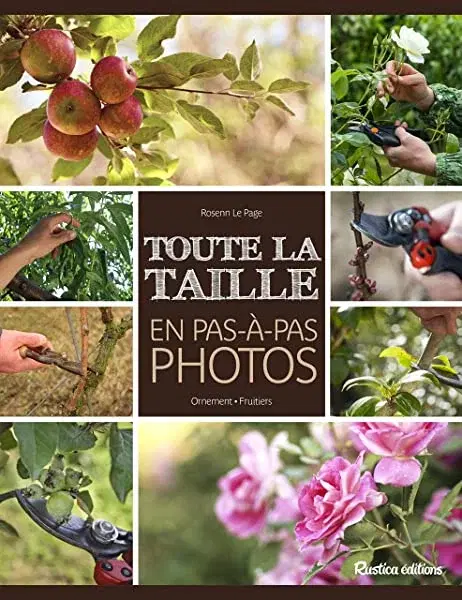 Couverture : Toute la taille en pas-à-pas photos