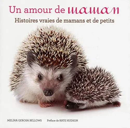 Couverture : Un amour de maman