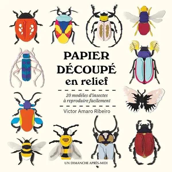 Couverture : Papier découpé en relief: 20 modèles d'instectes à reproduire facilement