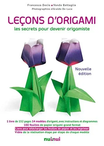 Couverture : Leçons d'origami: Nouvelle édition