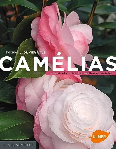 Couverture : Camélias. Choisir et cultiver les meilleures variétés