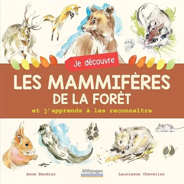 Couverture : Je découvre les mammifères de la forêt: Et j'apprends à les reconnaître