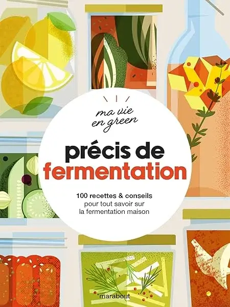 Couverture : Ma vie en green: Précis de fermentation: 100 recettes & conseils pour tout savoir sur la fermentation maison
