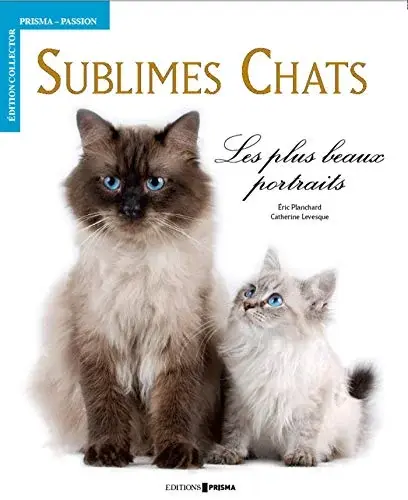 Couverture : Sublimes chats: Les plus beaux portraits