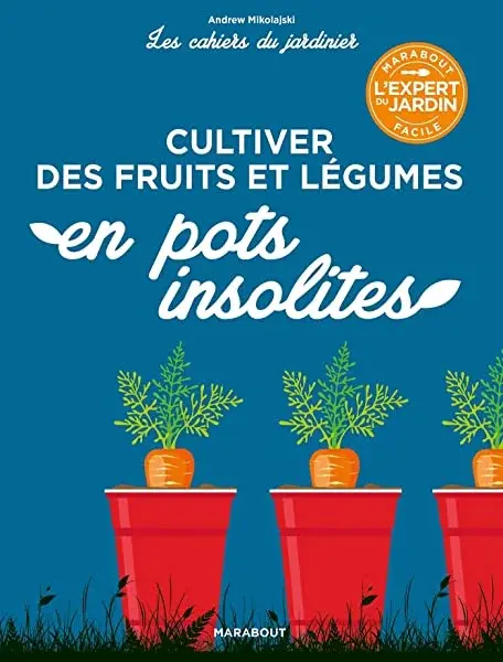 Couverture : Les cahiers du jardinier: Cultiver des fruits et légumes en pots insolites
