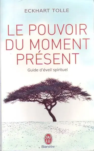 Couverture : LE POUVOIR DU MOMENT PRESENT.GUIDE DE L'EVEIL SPIRITUEL