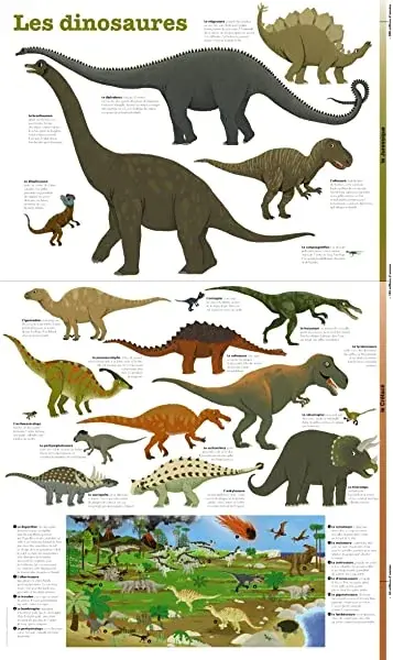 Couverture : Les dinosaures: poster