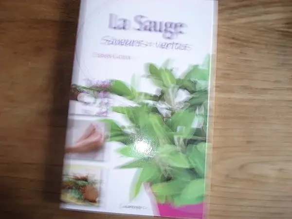 Couverture : La sauge: Saveurs et vertus