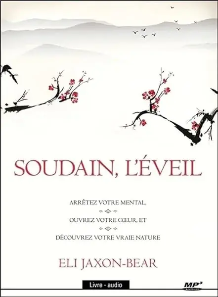Couverture : Soudain, l'éveil: Livre audio CD MP3