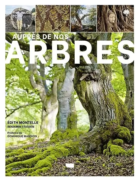 Couverture : Auprès de nos arbres