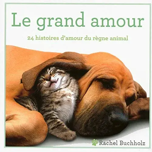 Couverture : Le grand amour