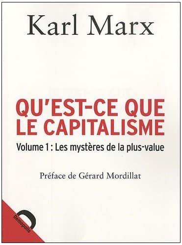 Couverture : Qu'est ce que le capitalisme: Volume 1, Les mystères de la plus-value
