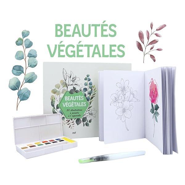 Couverture : Coffret Beautés végétales: 30 illustrations à peindre à l'aquarelle: Un carnet avec des feuilles détachables, une palette de 12 couleurs et un pinceau réservoir