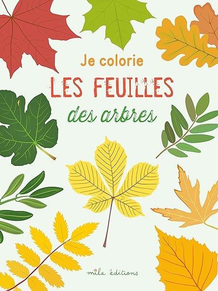 Couverture : Je colorie les feuilles des arbres