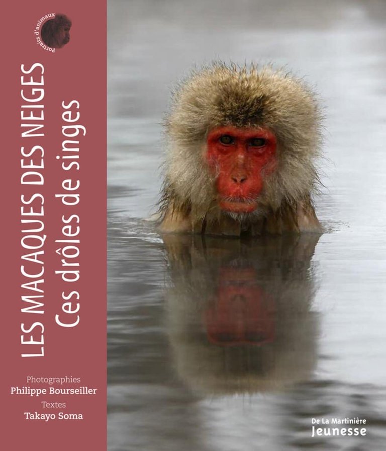 Couverture de Les Macaques des neiges