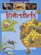 les animaux invertébres 1 les animaux invertébres